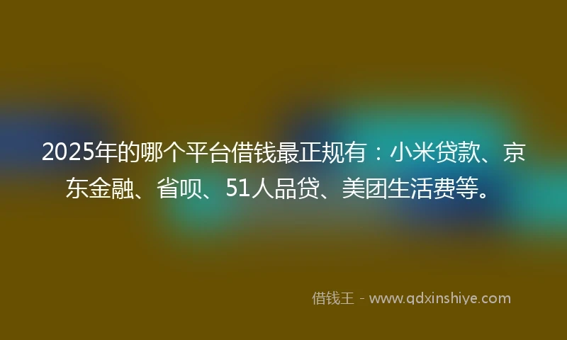 2025年的哪个平台借钱最正规有：小米贷款、京东金融、省呗、51人品贷、美团生活费等。