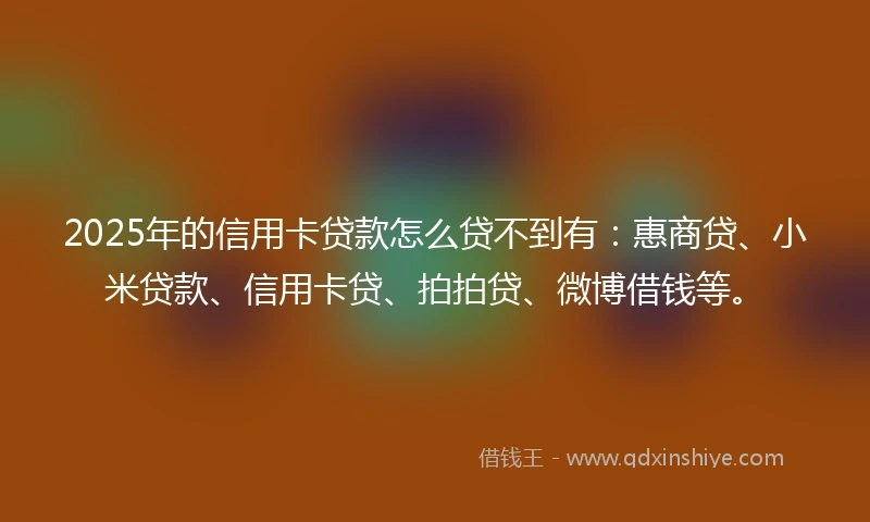 2025年的信用卡贷款怎么贷不到有：惠商贷、小米贷款、信用卡贷、拍拍贷、微博借钱等。