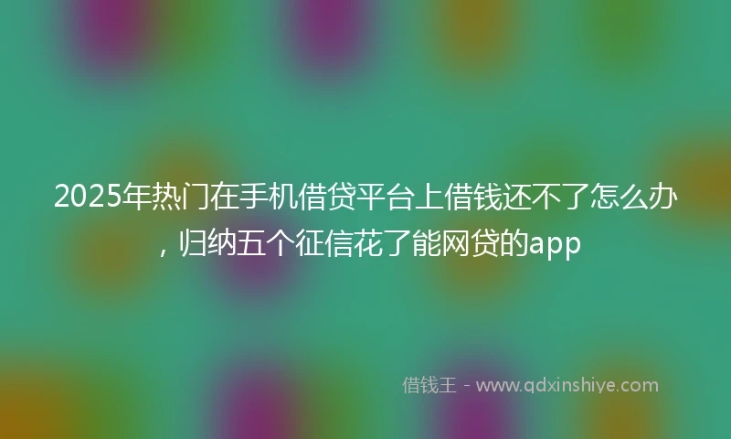 2025年热门在手机借贷平台上借钱还不了怎么办，归纳五个征信花了能网贷的app