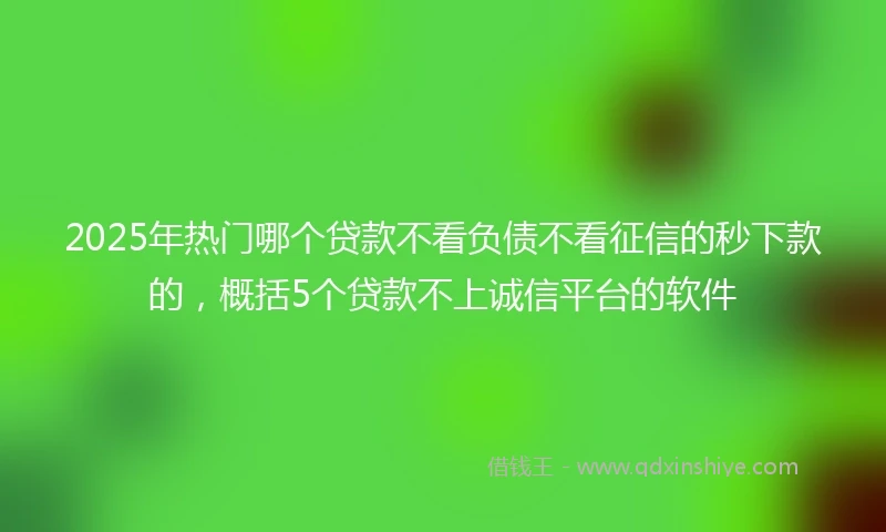 2025年热门哪个贷款不看负债不看征信的秒下款的，概括5个贷款不上诚信平台的软件