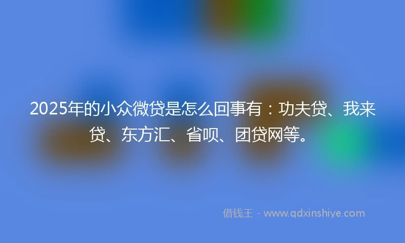 2025年的小众微贷是怎么回事有：功夫贷、我来贷、东方汇、省呗、团贷网等。