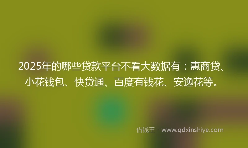 2025年的哪些贷款平台不看大数据有：惠商贷、小花钱包、快贷通、百度有钱花、安逸花等。