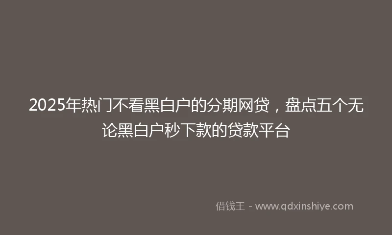2025年热门不看黑白户的分期网贷，盘点五个无论黑白户秒下款的贷款平台