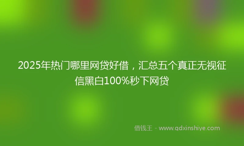 2025年热门哪里网贷好借，汇总五个真正无视征信黑白100%秒下网贷