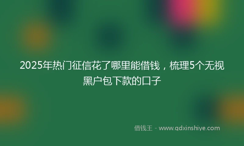 2025年热门征信花了哪里能借钱，梳理5个无视黑户包下款的口子
