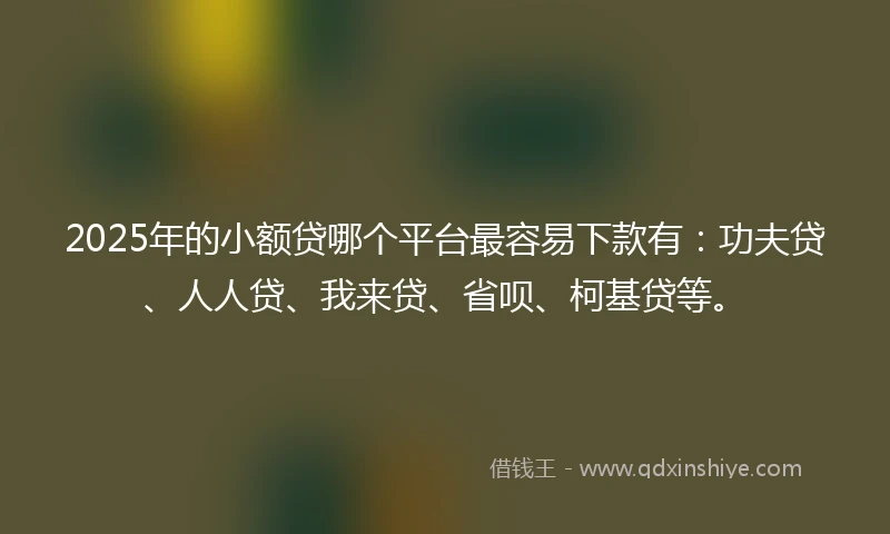2025年的小额贷哪个平台最容易下款有：功夫贷、人人贷、我来贷、省呗、柯基贷等。