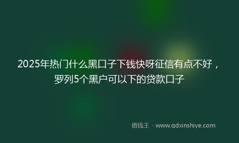 2025年热门什么黑口子下钱快呀征信有点不好，罗列5个黑户可以下的贷款口子