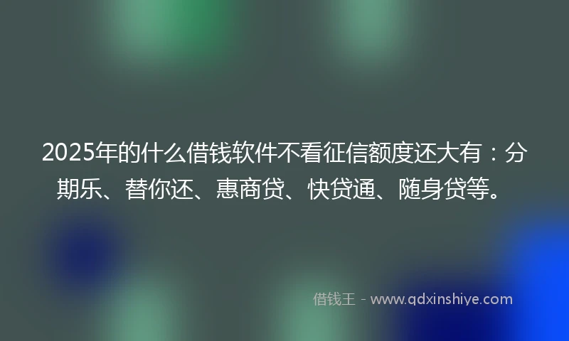 2025年的什么借钱软件不看征信额度还大有：分期乐、替你还、惠商贷、快贷通、随身贷等。