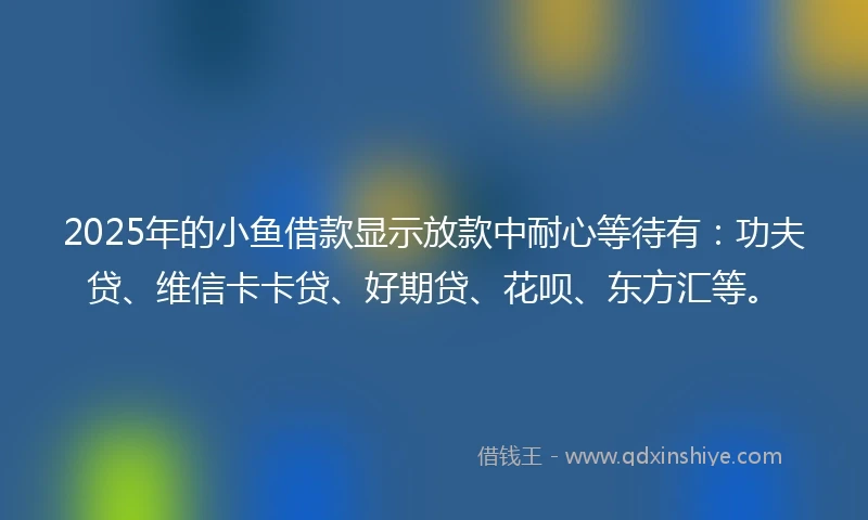 2025年的小鱼借款显示放款中耐心等待有：功夫贷、维信卡卡贷、好期贷、花呗、东方汇等。
