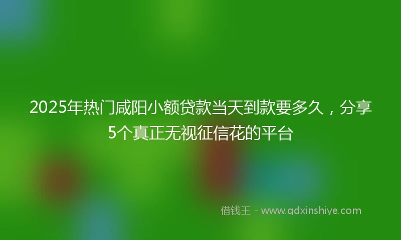 2025年热门咸阳小额贷款当天到款要多久，分享5个真正无视征信花的平台