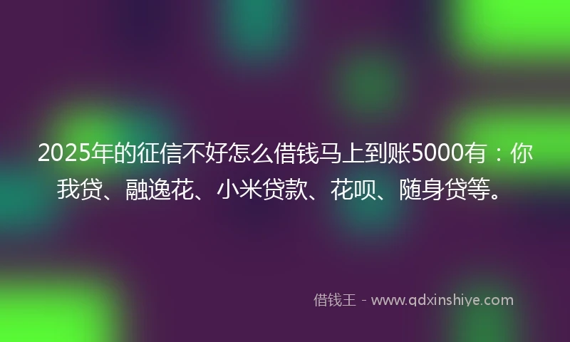 2025年的征信不好怎么借钱马上到账5000有：你我贷、融逸花、小米贷款、花呗、随身贷等。