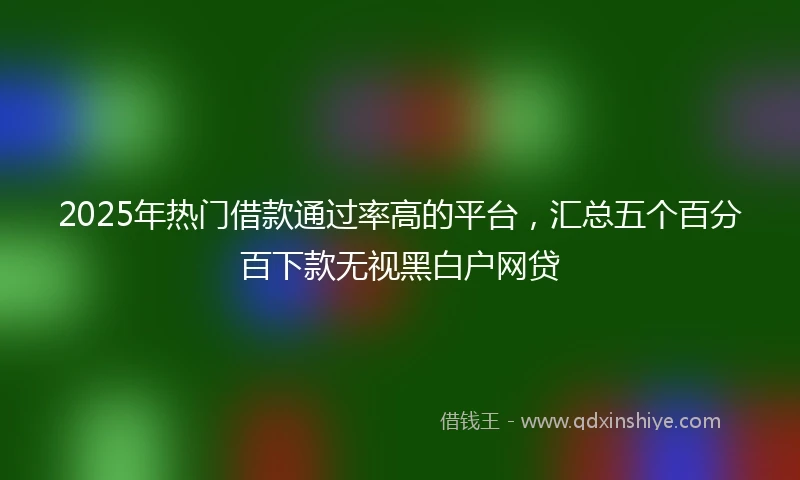 2025年热门借款通过率高的平台，汇总五个百分百下款无视黑白户网贷