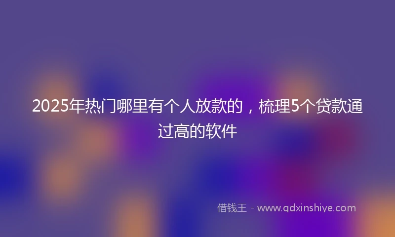 2025年热门哪里有个人放款的，梳理5个贷款通过高的软件