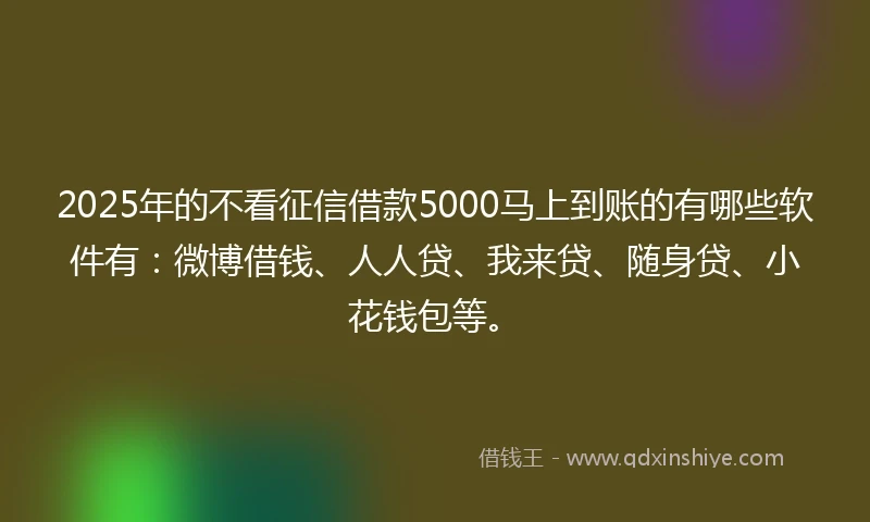 2025年的不看征信借款5000马上到账的有哪些软件有：微博借钱、人人贷、我来贷、随身贷、小花钱包等。