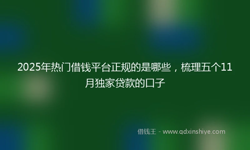 2025年热门借钱平台正规的是哪些，梳理五个11月独家贷款的口子