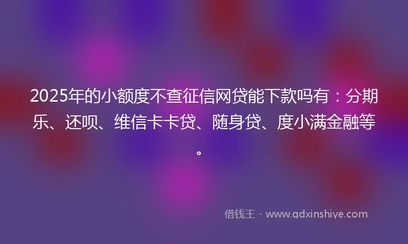 2025年的小额度不查征信网贷能下款吗有：分期乐、还呗、维信卡卡贷、随身贷、度小满金融等。