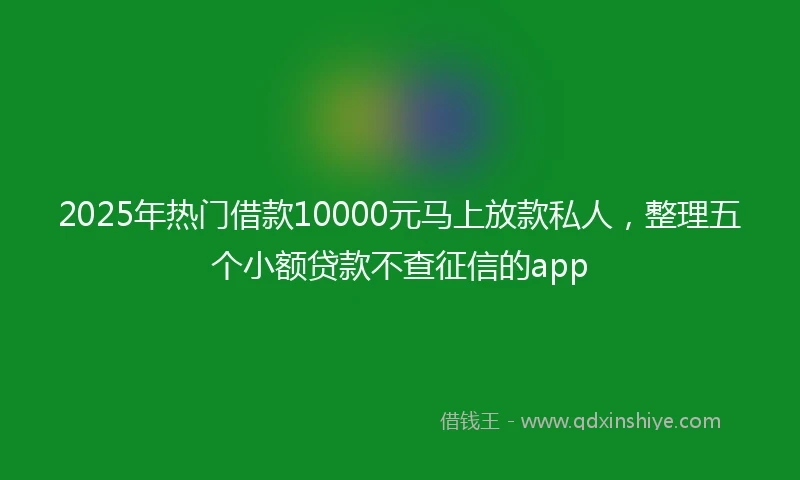 2025年热门借款10000元马上放款私人，整理五个小额贷款不查征信的app