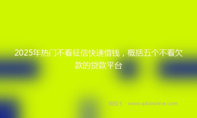 2025年热门不看征信快速借钱，概括五个不看欠款的贷款平台