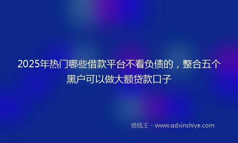 2025年热门哪些借款平台不看负债的，整合五个黑户可以做大额贷款口子