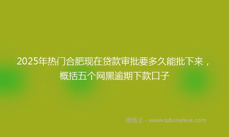2025年热门合肥现在贷款审批要多久能批下来,概括五个网黑逾期下款口子