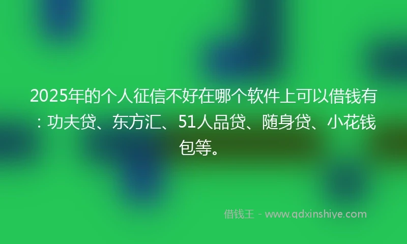 2025年的个人征信不好在哪个软件上可以借钱有：功夫贷、东方汇、51人品贷、随身贷、小花钱包等。
