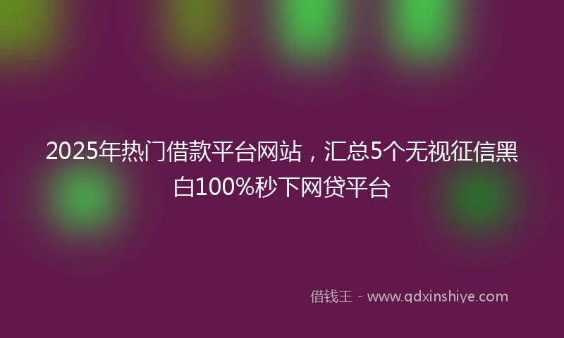 2025年热门借款平台网站，汇总5个无视征信黑白100%秒下网贷平台