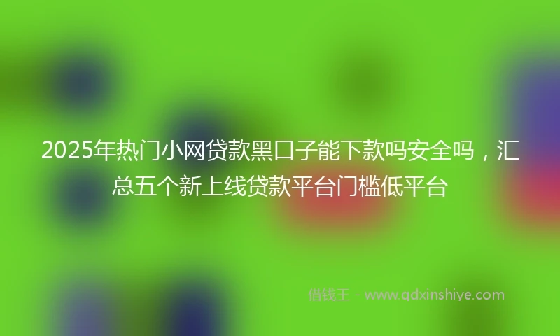 2025年热门小网贷款黑口子能下款吗安全吗，汇总五个新上线贷款平台门槛低平台