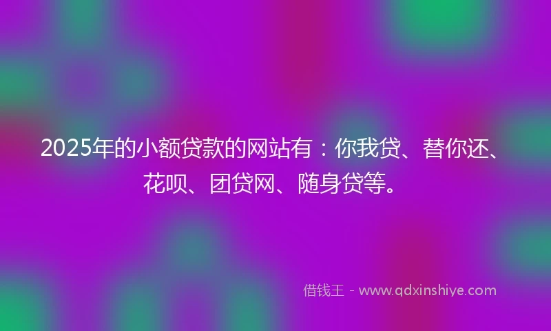2025年的小额贷款的网站有：你我贷、替你还、花呗、团贷网、随身贷等。