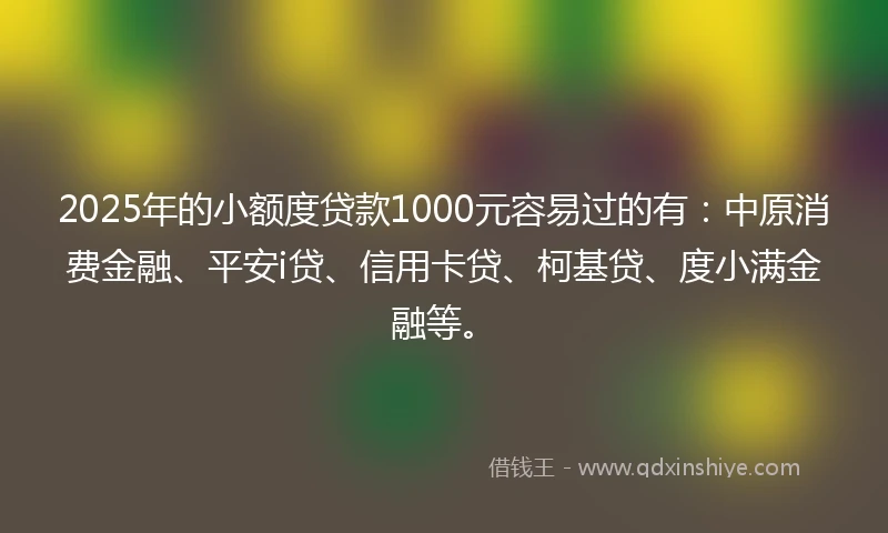 2025年的小额度贷款1000元容易过的有：中原消费金融、平安i贷、信用卡贷、柯基贷、度小满金融等。