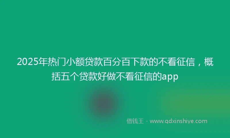 2025年热门小额贷款百分百下款的不看征信，概括五个贷款好做不看征信的app