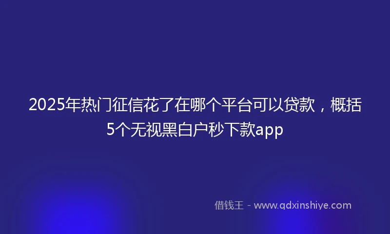 2025年热门征信花了在哪个平台可以贷款，概括5个无视黑白户秒下款app