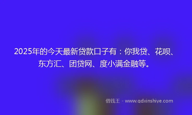 2025年的今天最新贷款口子有：你我贷、花呗、东方汇、团贷网、度小满金融等。