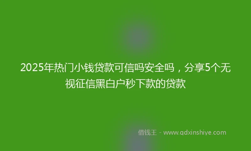 2025年热门小钱贷款可信吗安全吗，分享5个无视征信黑白户秒下款的贷款