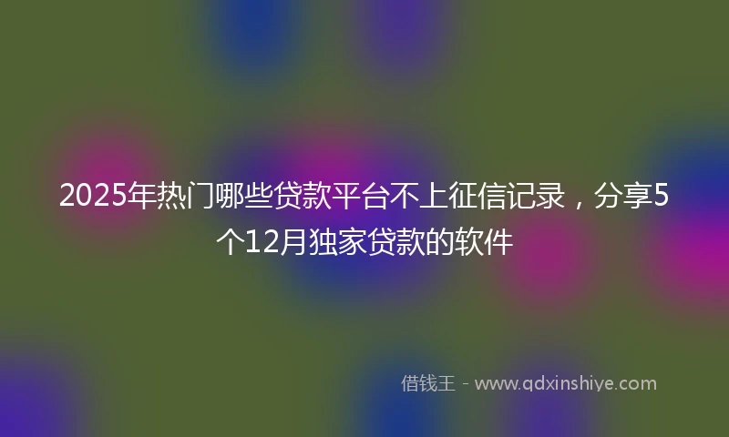 2025年热门哪些贷款平台不上征信记录，分享5个12月独家贷款的软件
