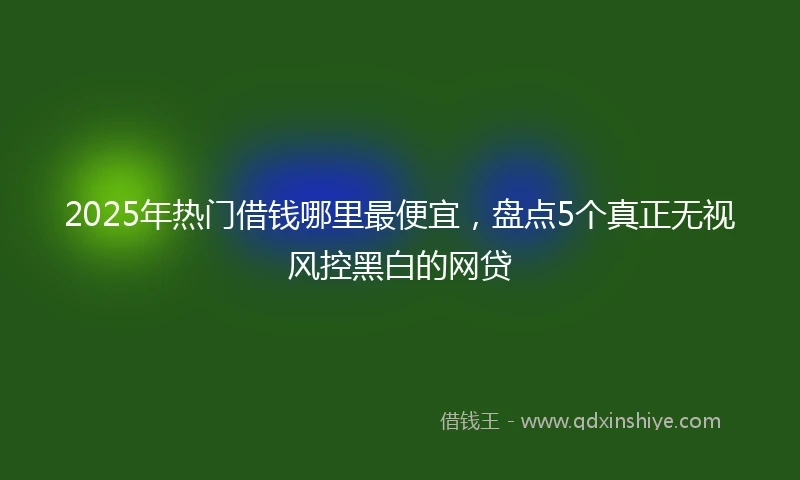2025年热门借钱哪里最便宜，盘点5个真正无视风控黑白的网贷