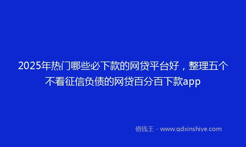 2025年热门哪些必下款的网贷平台好，整理五个不看征信负债的网贷百分百下款app