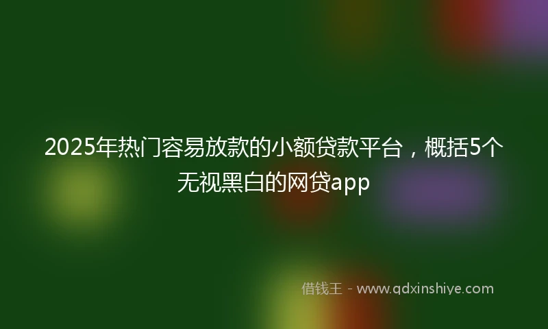 2025年热门容易放款的小额贷款平台，概括5个无视黑白的网贷app