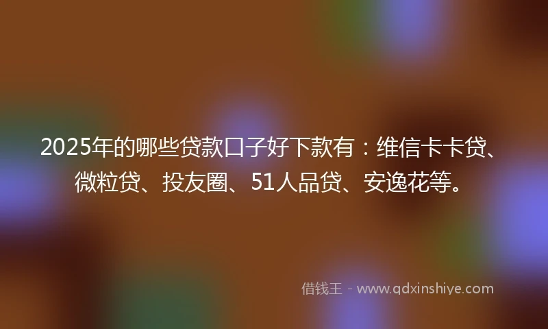 2025年的哪些贷款口子好下款有：维信卡卡贷、微粒贷、投友圈、51人品贷、安逸花等。