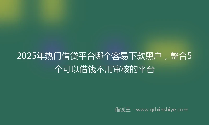2025年热门借贷平台哪个容易下款黑户，整合5个可以借钱不用审核的平台