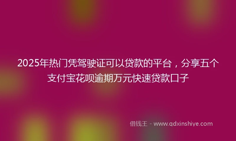 2025年热门凭驾驶证可以贷款的平台，分享五个支付宝花呗逾期万元快速贷款口子