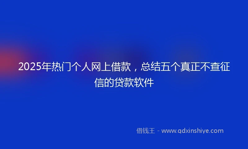 2025年热门个人网上借款，总结五个真正不查征信的贷款软件