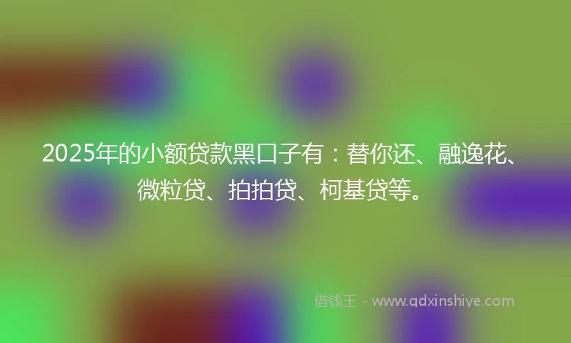 2025年的小额贷款黑口子有：替你还、融逸花、微粒贷、拍拍贷、柯基贷等。