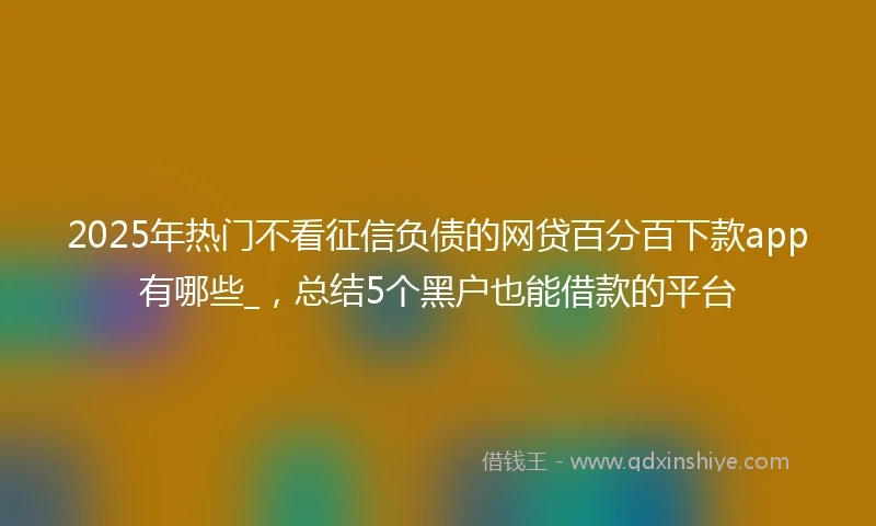 2025年热门不看征信负债的网贷百分百下款app有哪些_，总结5个黑户也能借款的平台