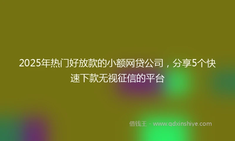 2025年热门好放款的小额网贷公司，分享5个快速下款无视征信的平台