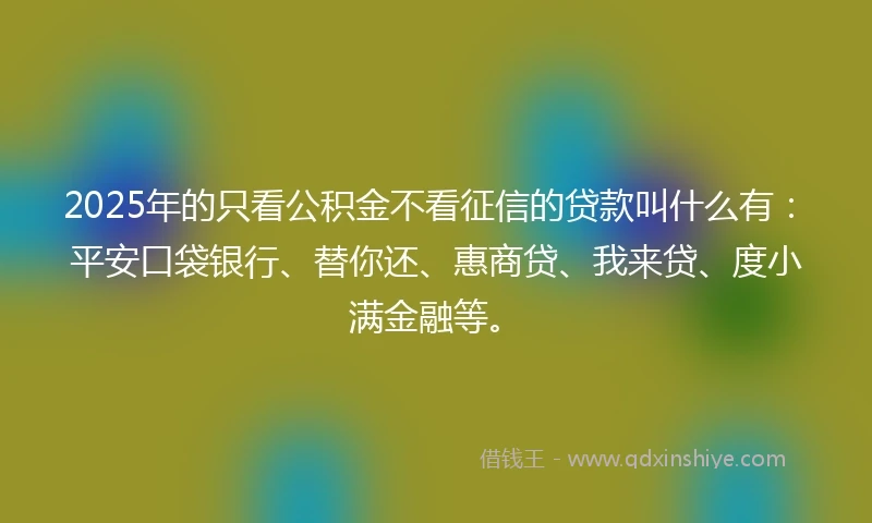 2025年的只看公积金不看征信的贷款叫什么有：平安口袋银行、替你还、惠商贷、我来贷、度小满金融等。