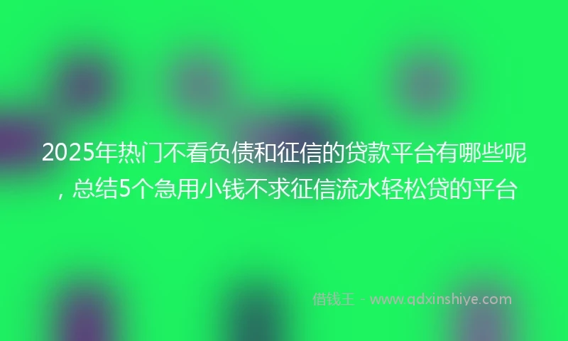 2025年热门不看负债和征信的贷款平台有哪些呢，总结5个急用小钱不求征信流水轻松贷的平台