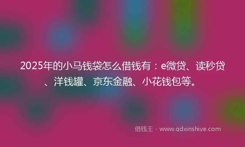 2025年的小马钱袋怎么借钱有：e微贷、读秒贷、洋钱罐、京东金融、小花钱包等。