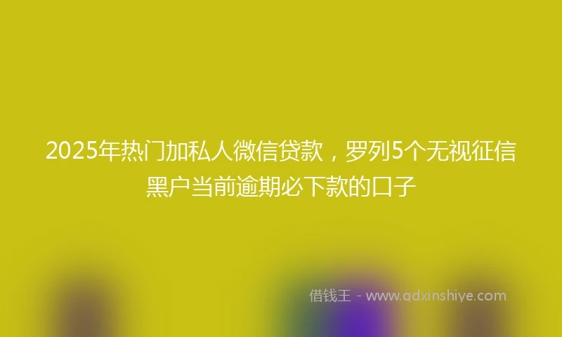 2025年热门加私人微信贷款，罗列5个无视征信黑户当前逾期必下款的口子