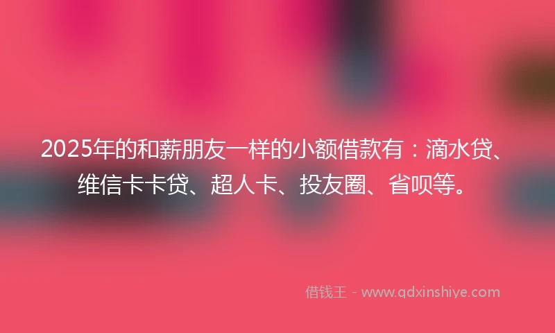 2025年的和薪朋友一样的小额借款有：滴水贷、维信卡卡贷、超人卡、投友圈、省呗等。