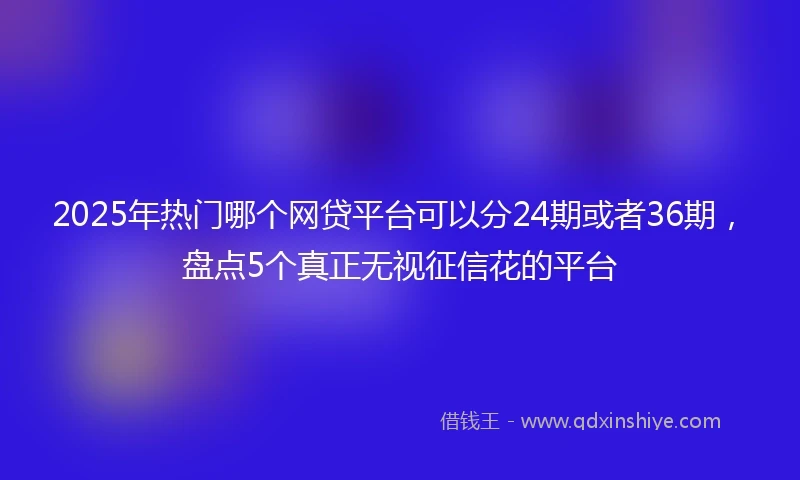 2025年热门哪个网贷平台可以分24期或者36期，盘点5个真正无视征信花的平台